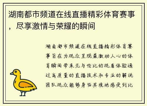 湖南都市频道在线直播精彩体育赛事，尽享激情与荣耀的瞬间